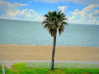 سي شيل إن موتل