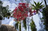Hotel Costasol
