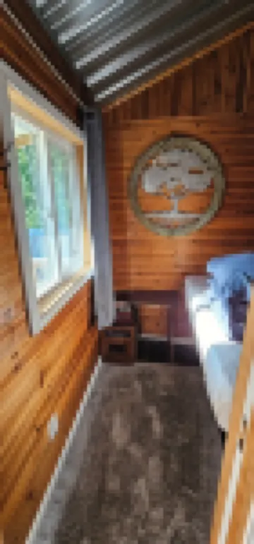 Killing time with nature cabin #3