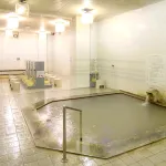 Frontier Furanui Onsen - Hot Springs