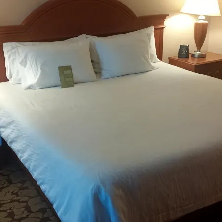Hilton Garden Inn Toronto/Markham Hotéis em Markham