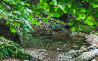 Gipei Wool Story Pension - Spa