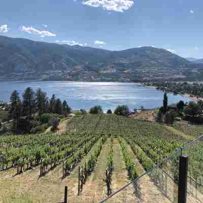 Cozy 2-bedroom apartment with WiFi, AC in amazing Penticton Others