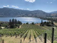 Cozy 2-bedroom apartment with WiFi, AC in amazing Penticton