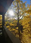 Aspen Leaf Retreat