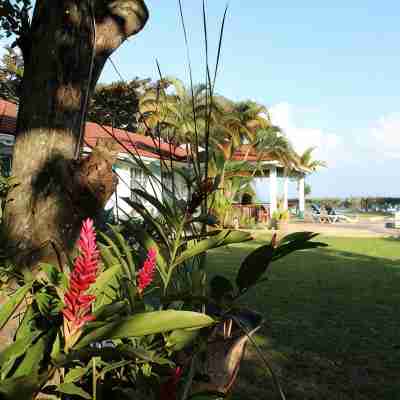 Baywatch - seaside villa, modern, spectacular location & garden, pool, cook Hotel Exterior