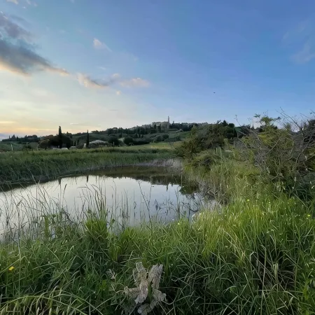 Il Podere di Casa Rossa Pienza