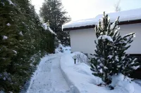 Pretty independent villa on the outskirts of Bormio - Homestays