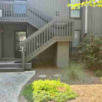Beautiful 1 Bed Condo on Pinehurst Course No.5! Others