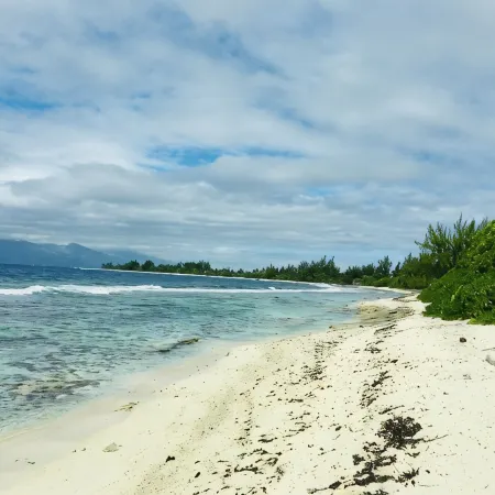Cottage Papaya Moorea