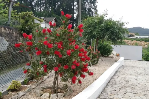 Porto Carreiro House - ヴィラ