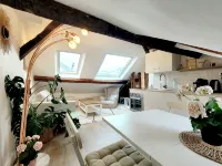Le cosy Macaron - At the heart of Versailles - 2 étoiles