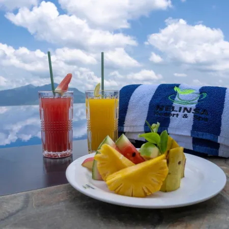 Nelinsa Wellness Resort & Spa