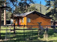 Cozy 2-Cabin Retreat Near Rmnp - Estes Park License #3051