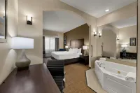 Comfort Inn & Suites Atoka - bars