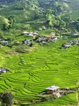 Best View Homestay