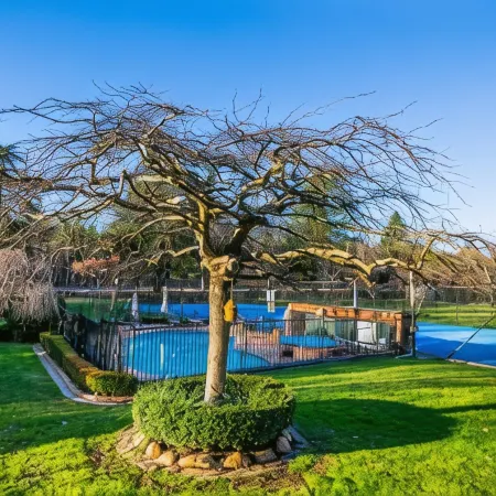 Chestnut Tree Holiday Units
