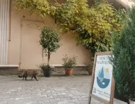 Harmony Boutique Hostel
