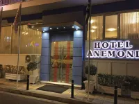 阿內莫尼酒店