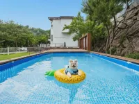 Gapyeong Daengdaengi Dog Pension Silver Hotels in der Nähe von Interaktives Kunstmuseum