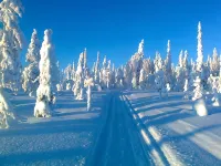 Arctic Guesthouse & Igloos - โรงแรมราคาถูก