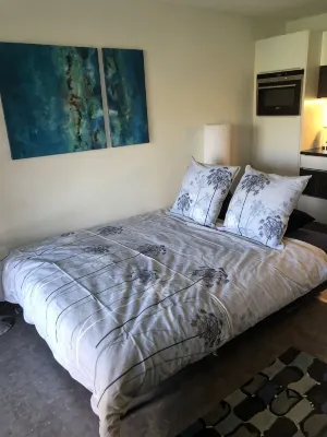 Vacation apartment on Lake Thun - magnificent views of the lake and mountains - Wifi
