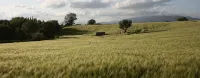 Poggio del Castagno - 3-Star