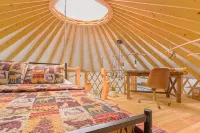 Magical Riverside Yurt, hot tub & the BRPW, pet friendly near Floyd, Va - WiFi