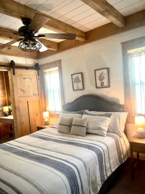 Quiet and secluded modern farmhouse 15 miles from the Buffalo River. - Wifi