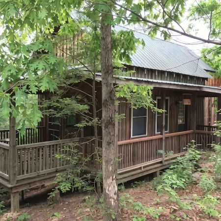 Cabins at Brush Creek Mtn-Bear Den