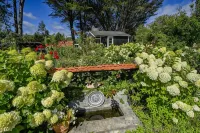 The Black Barn At Puketitiri - Homestays