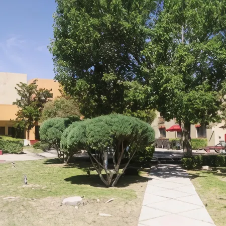 Casa Grande Chihuahua