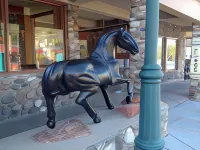 Iron Horse Inn - Bergblick