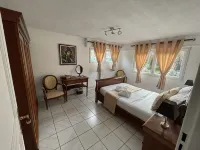 Colmar Petit Jardin de la Semm 6 to 10 Persons, Closed Private Parking, Air Cond. - 3 Sao