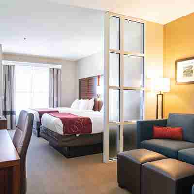 Comfort Suites Vicksburg Rooms