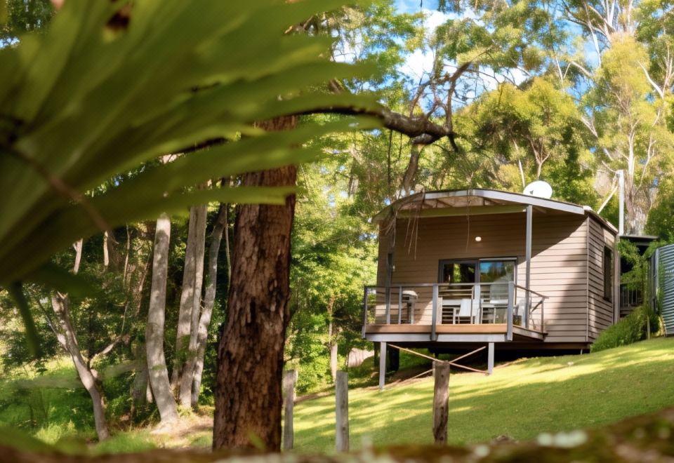 a small wooden house surrounded by lush green trees and grass , located in a forested area at Whispering Valley Cottage Retreat