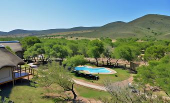 Garden Route Safari Camp