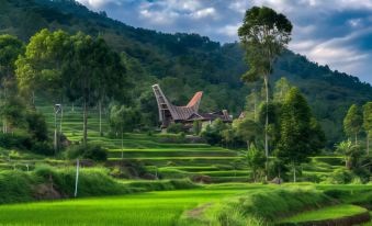 Santai Toraja