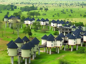 Salt Lick Safari Lodge