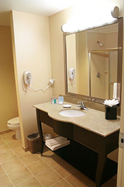 Mobility Accessible King Room with Roll in Shower