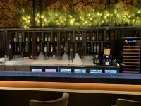 蒙古烏蘭巴託千禧廣場酒店 - 酒吧