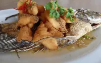 Bahari Inn Tegal Hotels in West Tegal