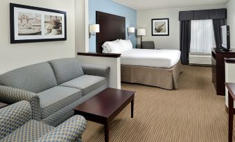 Holiday Inn Express & Suites Tampa Airport