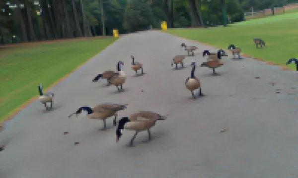 River Heights Motel Hotels in Hardin County