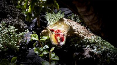 その他 ダイワロイネットホテル京都四条烏丸の写真