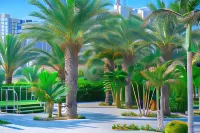 Agamim Hotel Ashkelon Hotels in Ashkelon