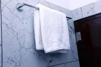 Vilasini Inn Hotels in Mandya
