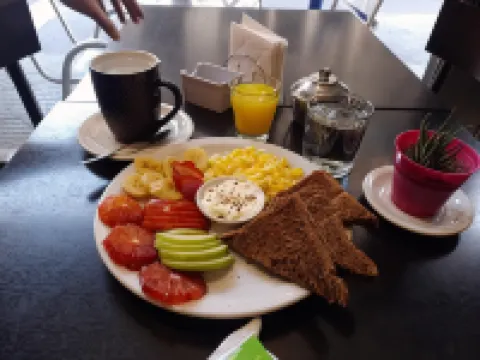 城市叢林旅舍 酒店