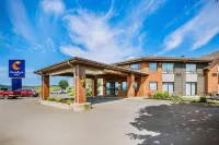 Comfort Inn Các khách sạn ở Sydney