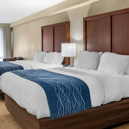Comfort Inn & Quality Suites
